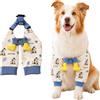 BSITSSS Carino Tutore per Gomito del Cane Tutore per Gomito per Cane | Multiuso Tutore Ginocchio Cane Utilizzo in tutte le stagioni per Cani di Taglia Media e Grande