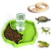 Funmo Distributore di Acqua per Rettili, Ciotola per Mangiatoia 2 in 1 per Tartarughe, Lucertole, Scorpioni, Verde