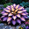TUYIKJHS Hosta/Resistenti Perenne/Splendide decorazioni da giardino/Adatta ai principianti/Adatto per uso interno ed esterno-4Rizomi-F
