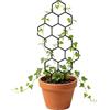 Xepasiay Traliccio per Piante 2 Pezzi Supporto Pothos Da Giardino | Traliccio per Piante Sarmentose Adatto a Pothos e Fiori da Interno e Esterno Casa Soggiorno Balcone Patio Cortile