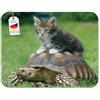 Edition Colibri Tappetino per mouse con gatto - 23 x 19 cm | gomma speciale, fondo ad alta aderenza, divertente tappetino per mouse per ufficio, home office e come regalo per gli amanti degli animali domestici