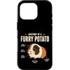 Furry Potato Cavies Custodia per iPhone 16 Pro Anatomia di una patata pelosa divertente amante della cavia