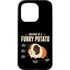 Furry Potato Cavies Custodia per iPhone 15 Pro Anatomia di una patata pelosa divertente amante della cavia