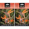 Semillas Batlle Batlle - Semi di Fiori - Strelitzia Uccello del Paradiso (Confezione da 2)