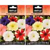 Semillas Batlle - Petunia Compacta VARIADA, Multicolore (Confezione da 2)