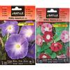 Semillas Batlle Semi di Fiori - Ipomea-Meraviglias Rossa - Batlle & Ipomea Blu