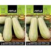 Semillas Batlle Zucchine presto di ALGERIA (Confezione da 2)