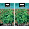 Semillas Batlle Battle - Semi Aromatici Menta Spicata/Romana (Semi - 40-50Cm) (Confezione da 2)