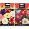 Semillas Batlle - Petunia Compacta VARIADA, Multicolore & Regina Marg. Fiore Margarita