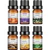 MEWFYI Fruttato Oli Essenziali per Diffusori 6 x 10ML, Set di Olio Essenziale Naturale Puri al 100% per Aromaterapia, SPA, Massaggio, Bagno - Menta, Limone, Sandalo, Eucalipto, Lavanda, Arancia