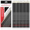 Rpanle Set di 12 Matite da Disegno, 2H H F HB B 2B 3B 4B 5B 6B 7B 8B Professionali Matite per Scrivere, Fare Schizzi e Disegnare