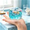 Generic 1 cubo a forma di conchiglia oceanica, ornamento da schiacciare trasparente | Interno in gelatina trasparente da 3 cm con conchiglia e glitter a stella, morbido guscio elastico, decorazione da tavolo a