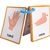 Generico Body Parts English Flash Cards - 15-Piece Tear-Resistant & Reusable Vocabulary Cards | Multi-Functional Tool For Communication Confidence & Memorization