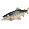 predolo Granchio Giocattolo Realistico Dettagli Realistici Modello di Granchio Marino Dettagliato per Bambini, Salmone