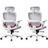 SIHOO B100-SE Sedia da ufficio ergonomica con supporto lombare, sedia da scrivania in rete per casa e ufficio, poggiatesta regolabile e braccioli 2D, sedile girevole, confezione da 2
