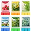 SCENTORINI Cera profumata, 6 x 35 g, Cera di soia per Lampada profumata | caprifoglio, sale marino, lampone, abete bianco, citronella, menta