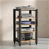 Fdzylyg Mobile Hifi, Mobile Stereo, 5 Ripiani, con Ruote, Altezza Regolabile | Supporto per Giradischi, Audio Rack Media Stand, per Amplificatore Lettore DVD Turno Sky box(60x50x100cm)