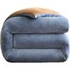 HLTQL Piumino in Velluto di Latte, piumone Invernale Spesso, Coperta Molto Calda e Super Morbida per 2 Persone, Trapunta in Microfibra, piumone Trapuntato Reversibile(01,200 * 230cm/5kg)