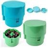 Occupaternm Decalcomanie con contenitore di raccolta, 2 pezzi (1 blu + 1 verde), snocciolatore manuale per ciliegie, piccolo rimozione del nucleo per frutta, utensile da cucina portatile (1 blu + 1 verde)