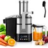 LEHMANN Centrifuga Frutta e Verdura, con vano di riempimento XXL da 80 mm, Acciaio inox, Touch screen LED, 6 livelli di velocità, senza BPA, contenitore per succo da 1000 ml, Facile da pulire