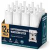 FILSWA Filtro acqua per macchina da caffè Sage - Compatibile con Barista Express Impress Pro Touch Oracle Jet The Barista Dual Boiler - Filtri per SES810/875/880/920/980/990, BES008 (12 pezzi)