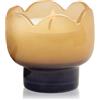 Paddywax Tulip Garden & Grove 155 g