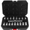 CCLIFE Set di 18 chiavi per bulloni lubrificante 3/8, 5/16, Cr-V, maniglia a T, chiave a brugola