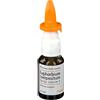 GUNA SpA Guna Heel, Euphorbium Compositum Spray Nasale S, 20 ml