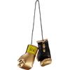 Ben Lee BENLEE Rocky Marciano Mini Gloves - Merci Sportive Unisex - Adulto