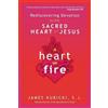 S. J. James Kubicki Heart on Fire (Tascabile)