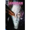 Neil Gaiman The Sandman: The Deluxe Edition Book Two (Copertina rigida)