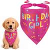 Ainiv Bandana di Compleanno per Cani, Gatti e Cani, Rosa | Sciarpa Triangolare Regolabile, Leggera e Traspirante, Compleanno o Come Accessorio per Feste Animali Domestici
