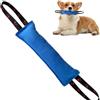 HUANR Manicotto per Cani, 30 cm Giochi Cani Indistruttibili,Blu | Cane Salsicciotto Addestramento, con Cinghie Mani, Salsicciotti Cani, per L'intrattenimento Cani, L'addestramento