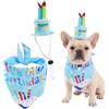 Hjumarayan Set di cappello e bandana per cani di compleanno, per cani e gatti | Completo di compleanno con cappello regolabile e bandana | perfetto per foto di compleanno, feste e celebrazioni | cani di