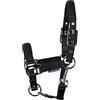 JA Horse JA4005 - Cavezza regolabile per puledro con imbottitura in neoprene su collo e naso (nero, mini puledro)