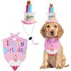 Hjumarayan Set di cappello e bandana per cani di compleanno, per cani e gatti | Completo di compleanno con cappello regolabile e bandana | perfetto per foto di compleanno, feste e celebrazioni | cani di