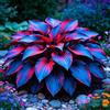 TUYIKJHS Hosta/Resistenti Perenne/Splendide decorazioni da giardino/Adatta ai principianti/Adatto per uso interno ed esterno-4Rizomi-G