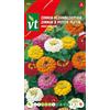 Arborix Zinnia Semi di Fiori Misti a Foglia Piccola - Colori Giallo, Bianco, Rosso, Viola, Arancione - Superbo Fiore Reciso