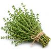 Generico Semi di Timo da Seminare | Semi di Thymus Vulgaris per Orto, Vaso e Giardino | Pianta Aromatica Perenne per Balcone e Coltivazione Domestica | Ideale per Orto Aromatico ed Erbe Aromatiche