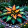 TUYIKJHS Hosta/Resistenti Perenne/Splendide decorazioni da giardino/Adatta ai principianti/Adatto per uso interno ed esterno-4Rizomi-E