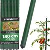 STREND PRO Tutori da Giardino 180 cm, Set da 25 | Ø 20 mm, Acciaio Rivestito in Plastica, Verde | Per Pomodori e Fagioli