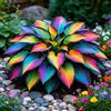 TUYIKJHS Hosta/Resistenti Perenne/Splendide decorazioni da giardino/Adatta ai principianti/Adatto per uso interno ed esterno-4Rizomi-A