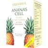 Erbamea Ananas Cell Fluido Concentrato 15 Bustine