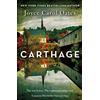 Fourth Estate Carthage: A Riveting Gothic Mystery About Violence, Forgiveness, and a Town Pushed to the Limit