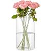 WIYETY Vaso Cilindrico in Vetro Dekovasen Minimalistico: Moderno Vaso per Fiori, Vaso in Vetro Trasparente per Decorazione da Tavolo, Soggiorno, Camera da Letto, Matrimonio, Compleanno, Bagno (30