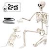 DIYDEC Scheletro mobile per Halloween, 165 cm, con cane, tutto il corpo, per cani, scheletro umano realistico, con articolazioni mobili, per Halloween, feste all'aperto