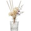 Upstore 100ml vetro trasparente diffusore bottiglie vuote diffusore barattoli aromaterapia contenitore accessori fragranza uso per fai da te diffusore bastoncini di ricambio oli essenziali artigianato decor