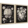 Nacnic Set Di 2 Stampe Anatomia Umana Poster E Quadri Con Cervello E Cuore Design Monocromatico Floreale Sfondo Nero Decorazione Da Parete Moderna Medica Dimensione A4 Lightwood Frame