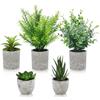 CUULANIX 5 Pezzi Piante Artificiali, set di vasi artificiali, Agave Succulente, Aloe Artiglio d'Aquila per Casa, Matrimoni, Ufficio Decorazioni