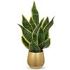 Arborus Pianta artificiale di serpente in vaso dorato, 45,7 cm, piccola pianta artificiale Sansevieria piante da appartamento finte in vaso giallo serpente pianta artificiale per interni, casa, cucina